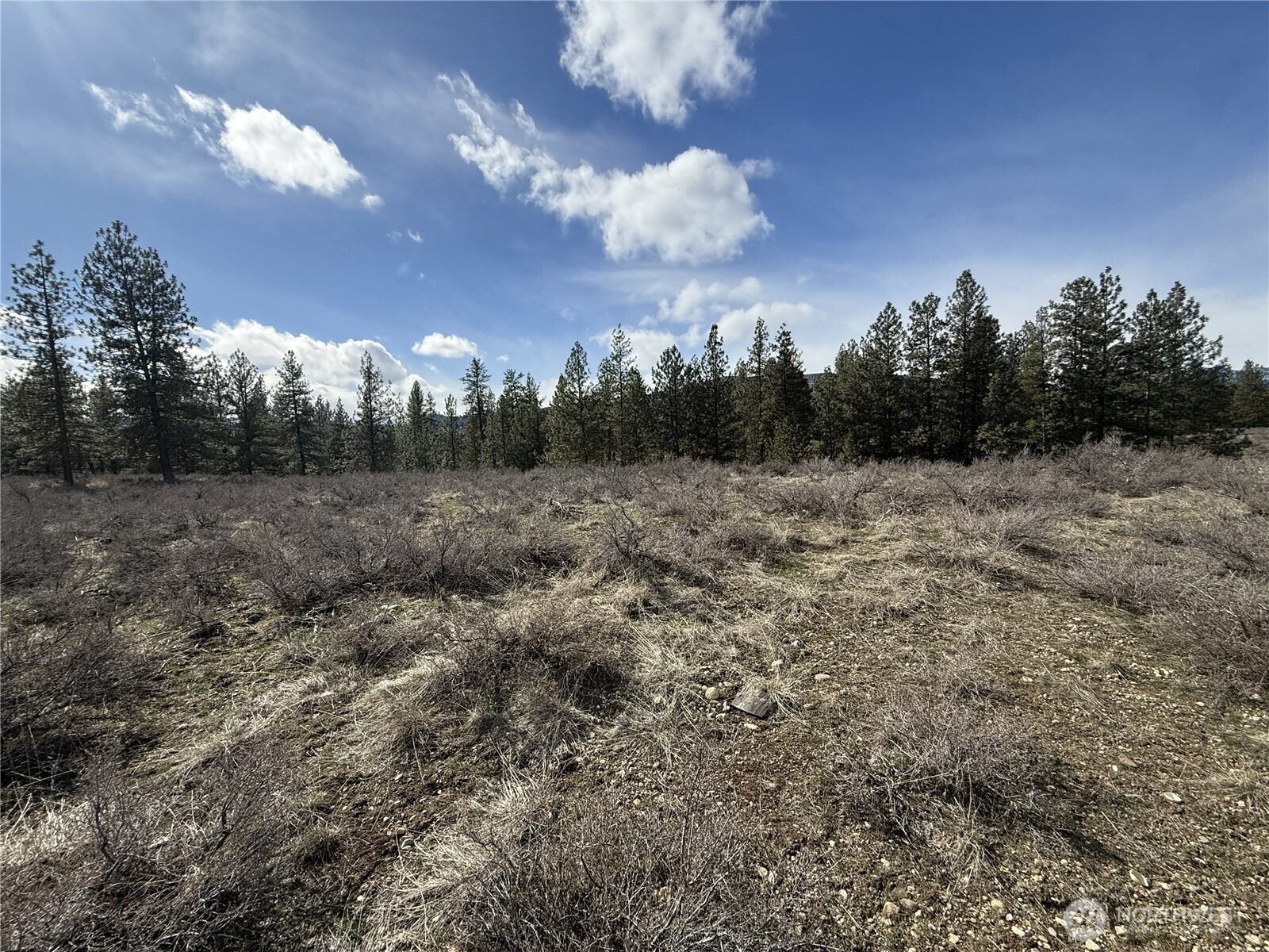 40-tbd Rabbit House Road Winthrop, WA 98862 - Photo 30 of 40 a view of a big yard