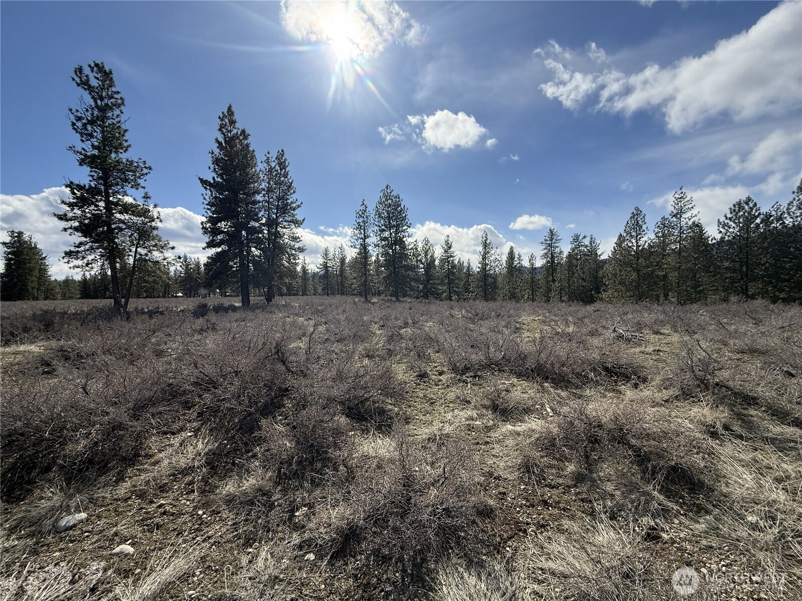 40-tbd Rabbit House Road Winthrop, WA 98862 - Photo 31 of 40