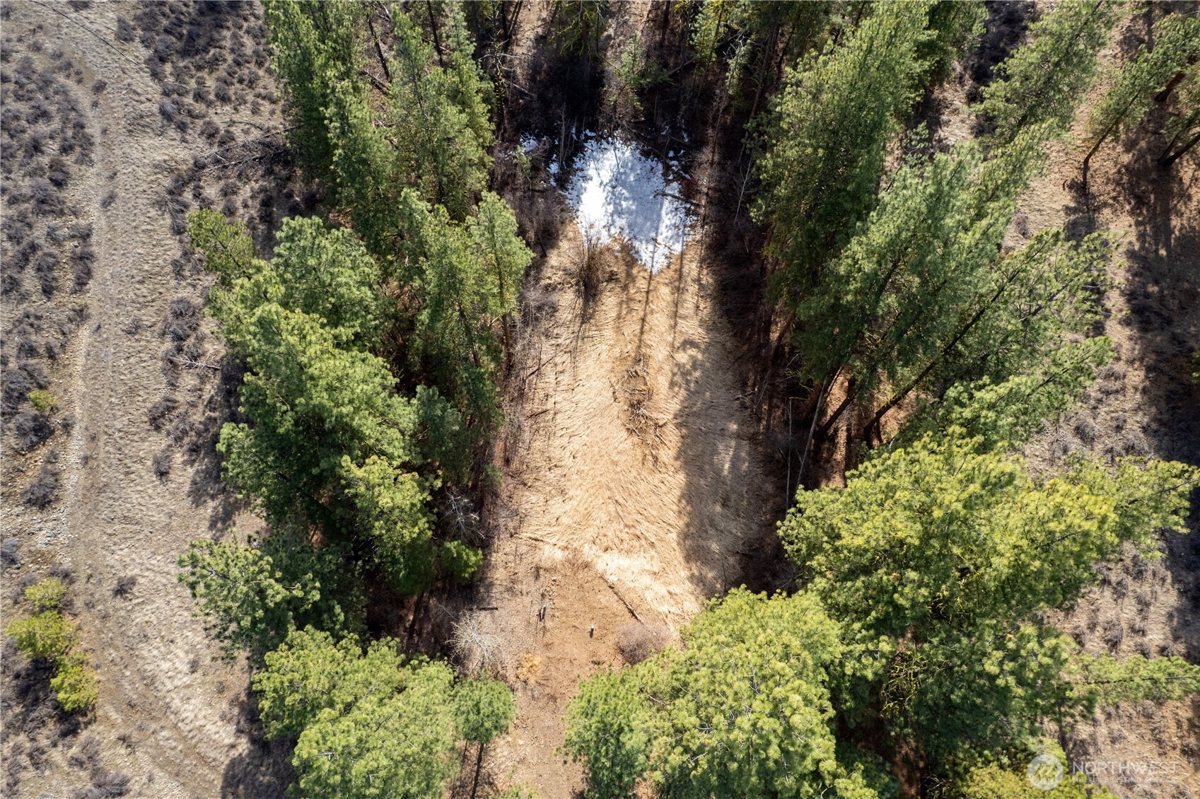 40-tbd Rabbit House Road Winthrop, WA 98862 - Photo 39 of 40 an aerial view of residential house with outdoor space and trees all around
