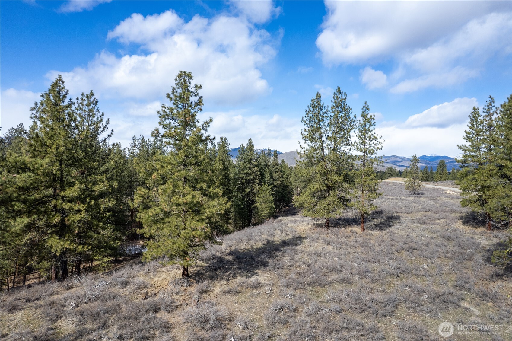 40-tbd Rabbit House Road Winthrop, WA 98862 - Photo 40 of 40 a view of a yard with a tree