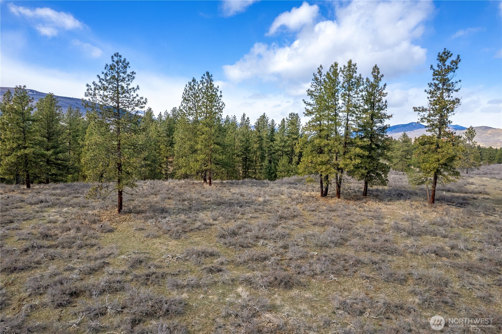 40-tbd Rabbit House Road Winthrop, WA 98862 - Photo 4 of 40 a view of a forest
