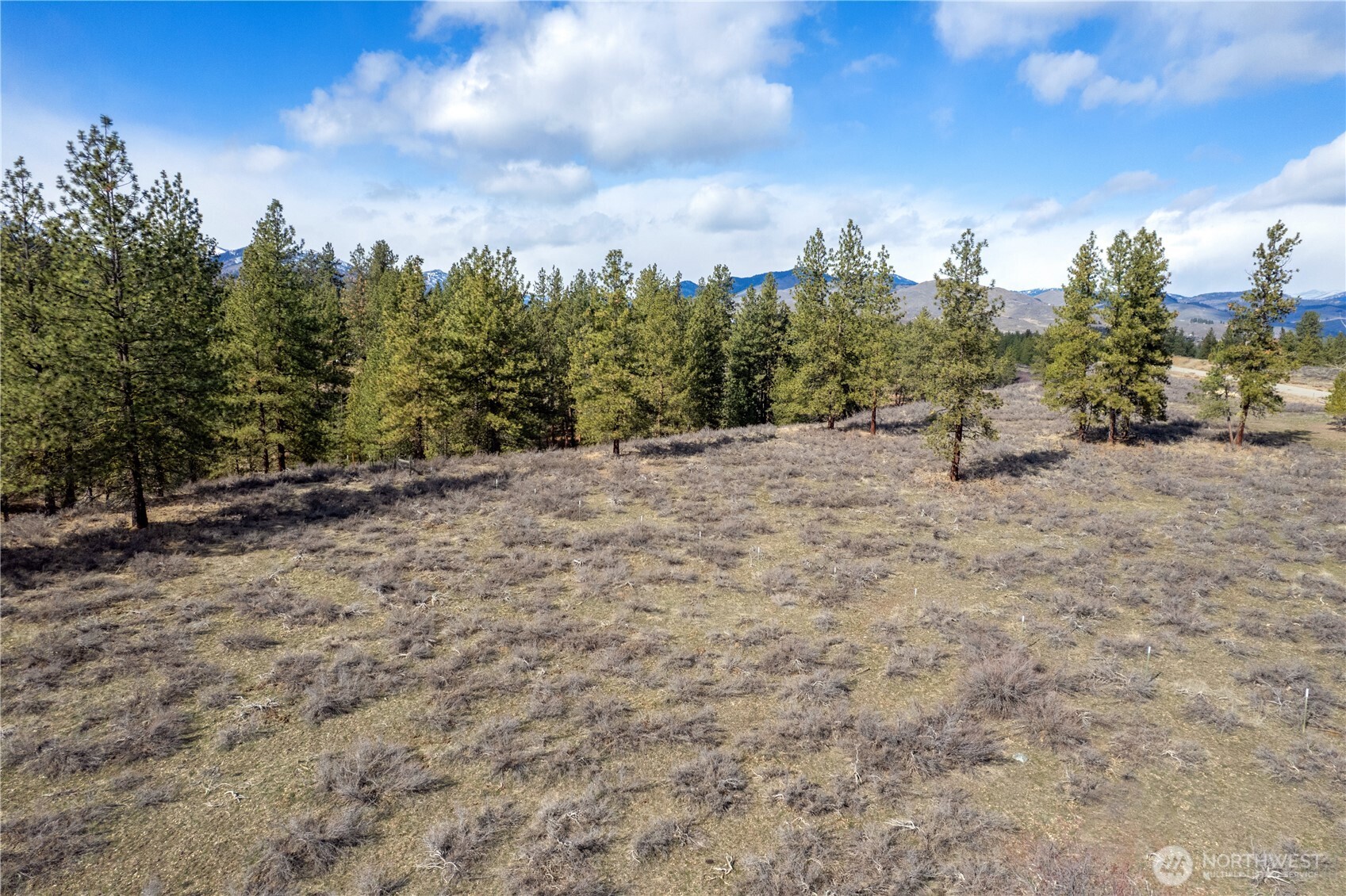 40-tbd Rabbit House Road Winthrop, WA 98862 - Photo 6 of 40 a view of a dry yard with trees