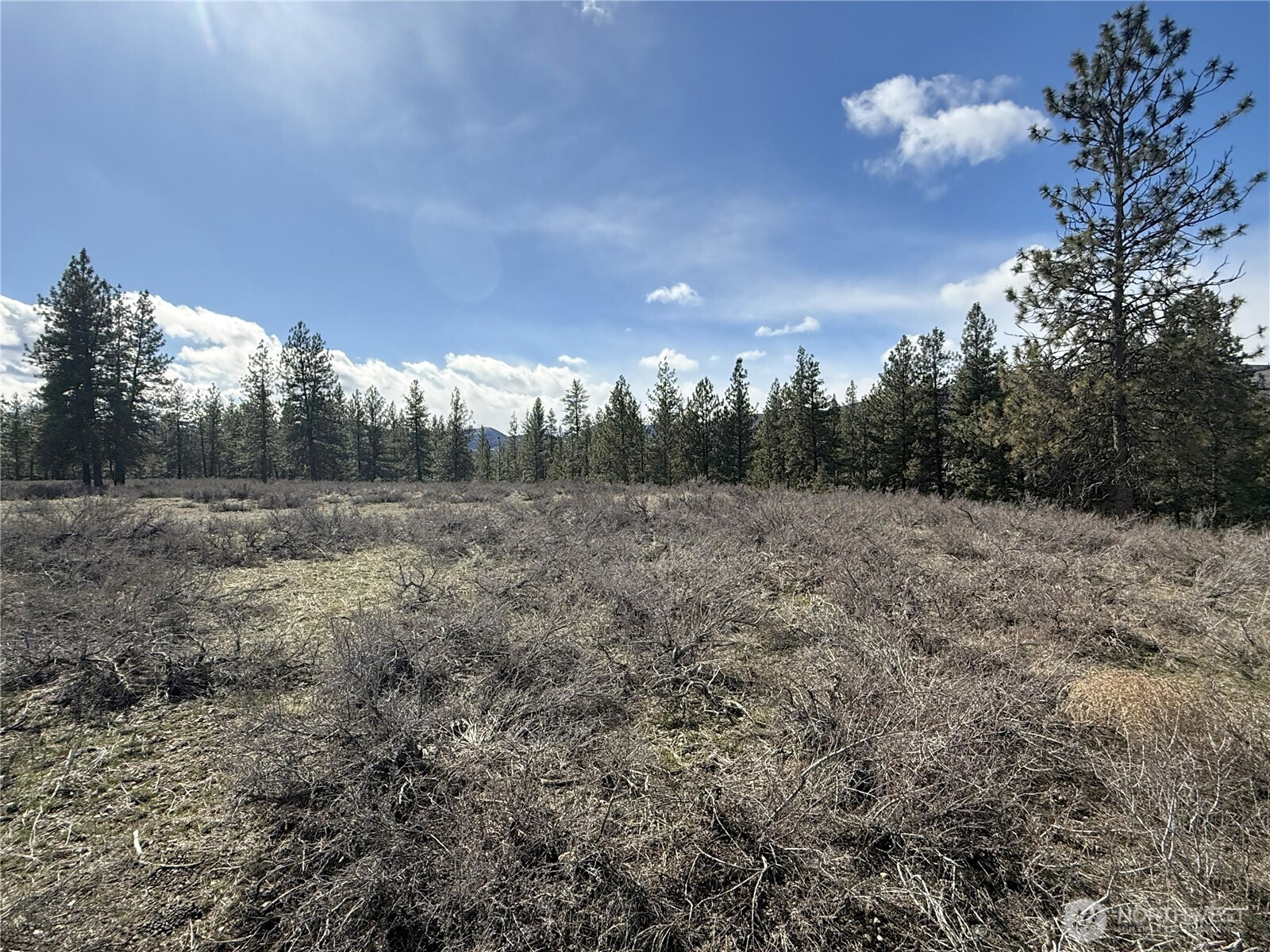 40-tbd Rabbit House Road Winthrop, WA 98862 - Photo 8 of 40 a view of a big yard