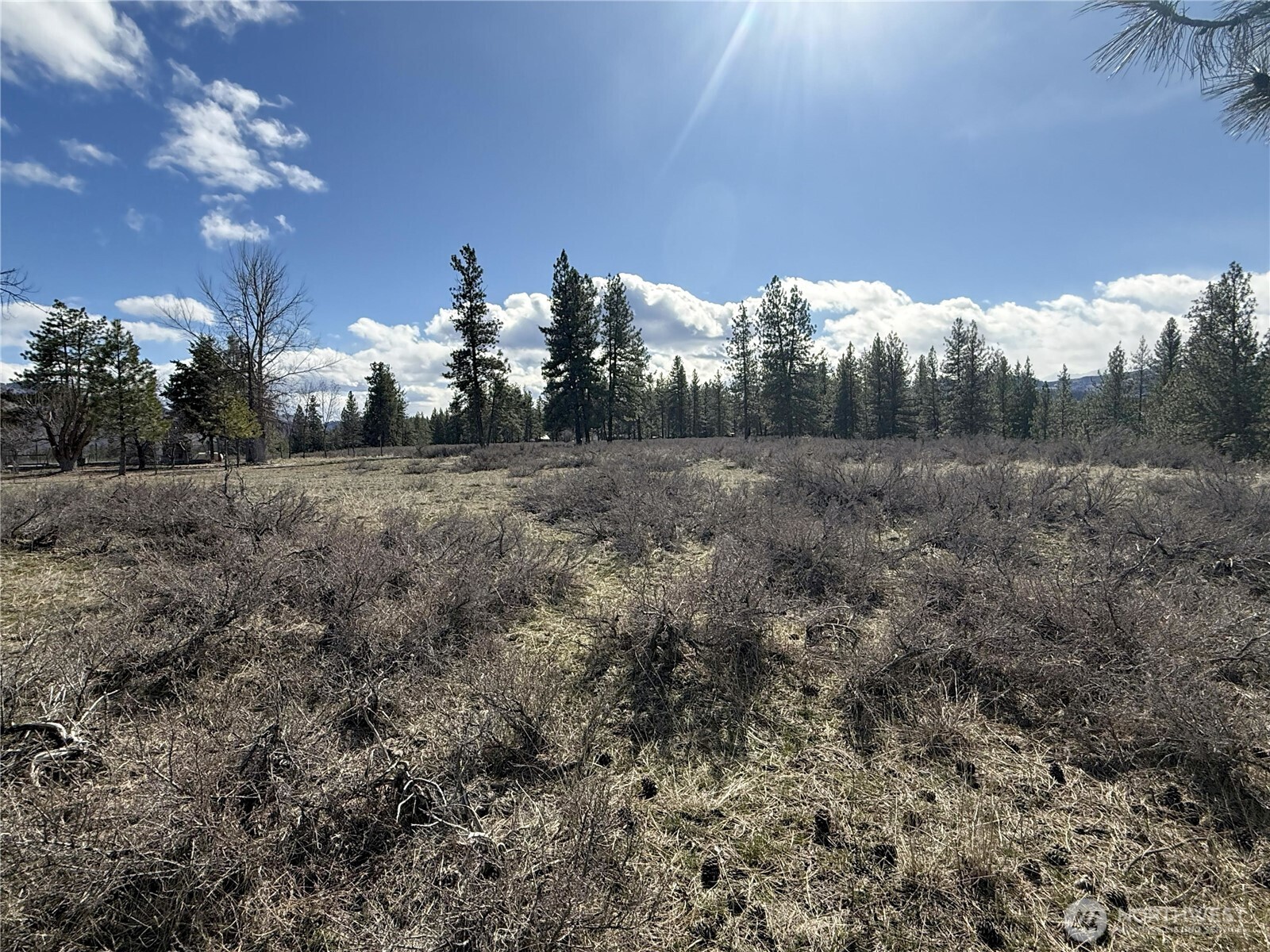 40-tbd Rabbit House Road Winthrop, WA 98862 - Photo 9 of 40 a view of a big yard