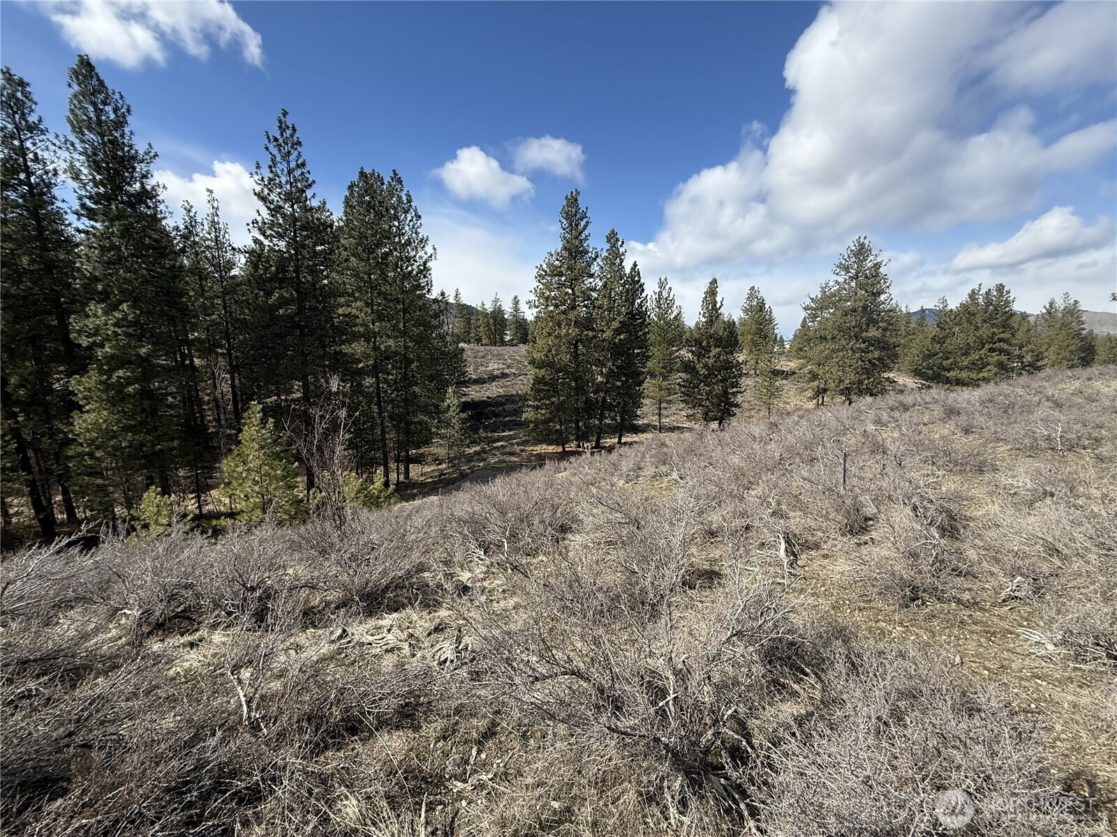 40-tbd Rabbit House Road Winthrop, WA 98862 - Photo 10 of 40 a view of a dry yard