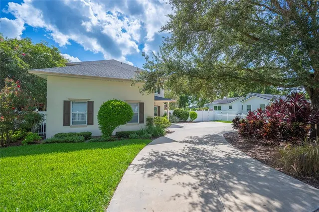 a view of a yard with potted plants and a large tree