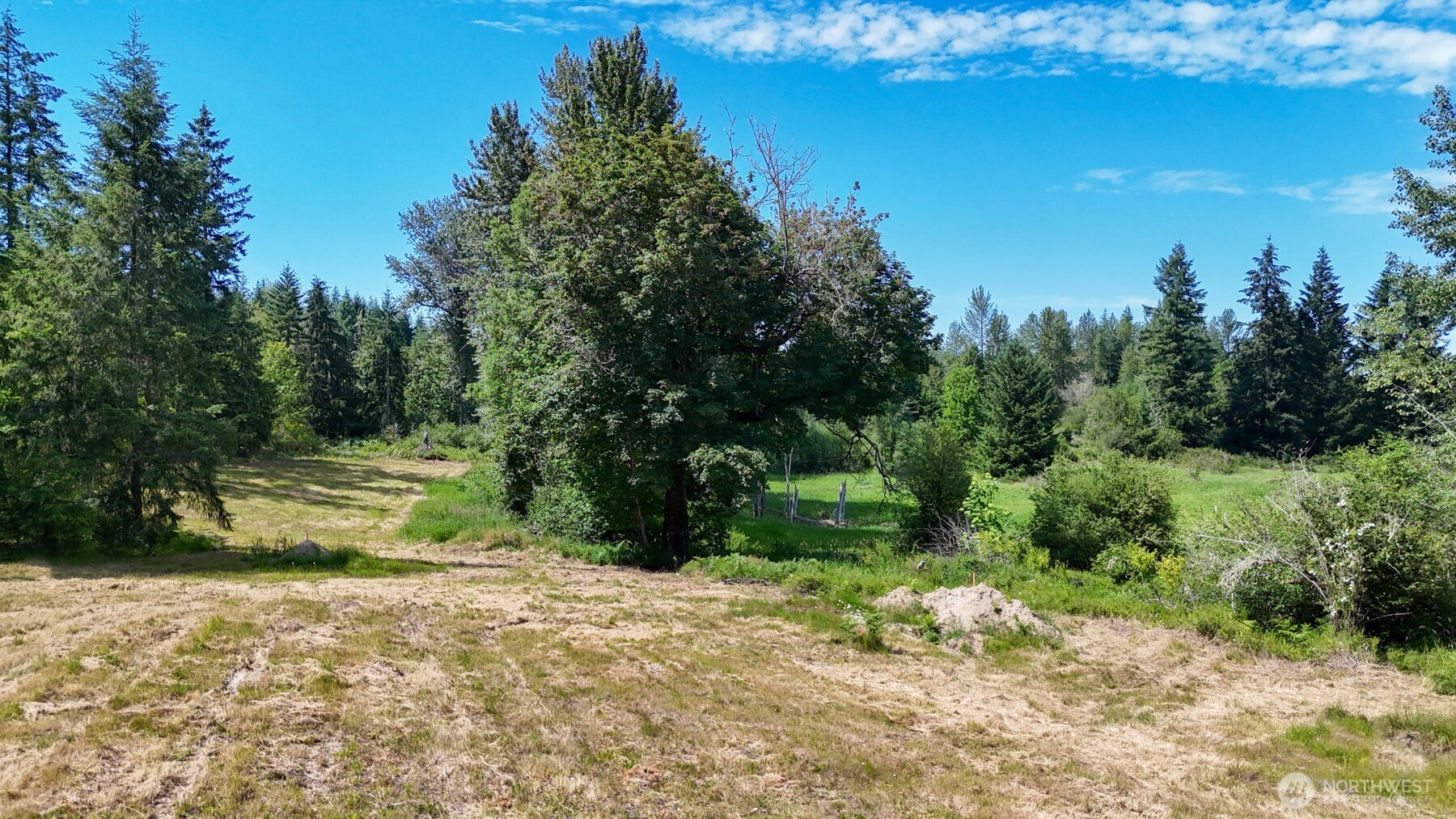 21842 Elbow Lake Road Southeast Yelm, WA 98597 - Photo 3 of 17