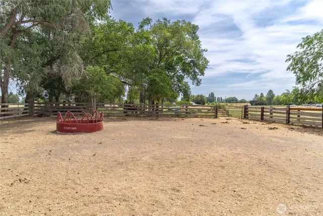 a view of road with large trees