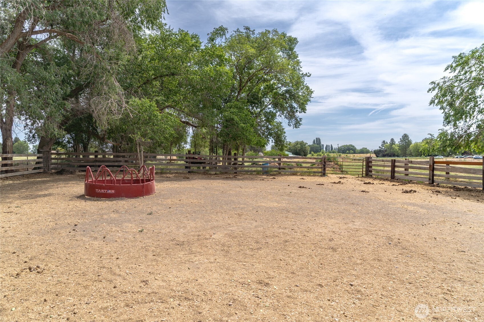 19627 Rd A Northeast Soap Lake, WA 98851 - Photo 3 of 38 a view of road with large trees