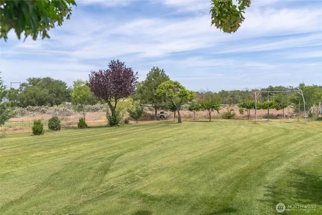 a view of a green field