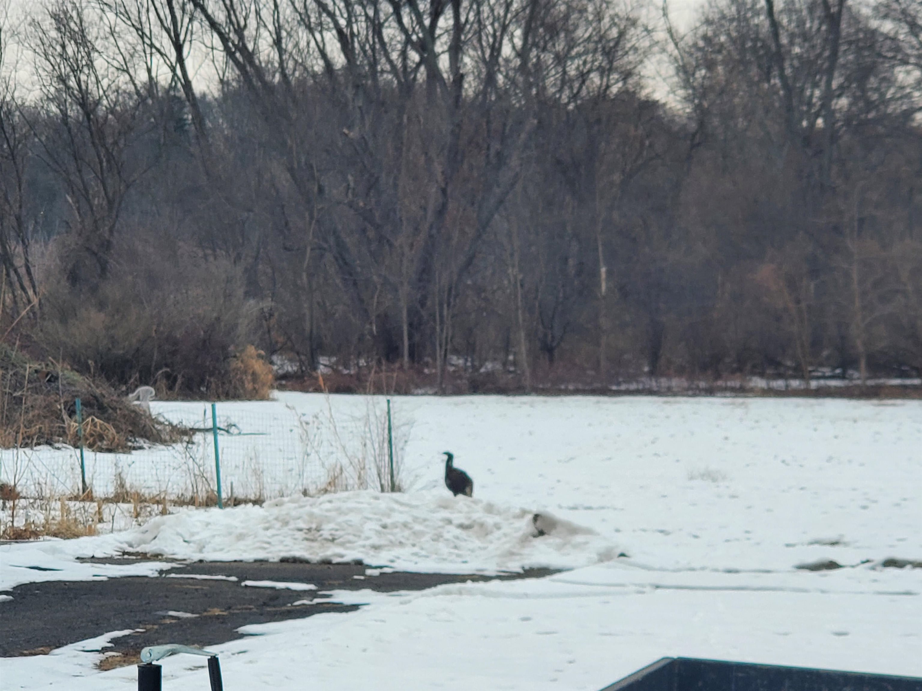 6858 Safford Road Rockford, IL 61101 - Photo 6 of 30