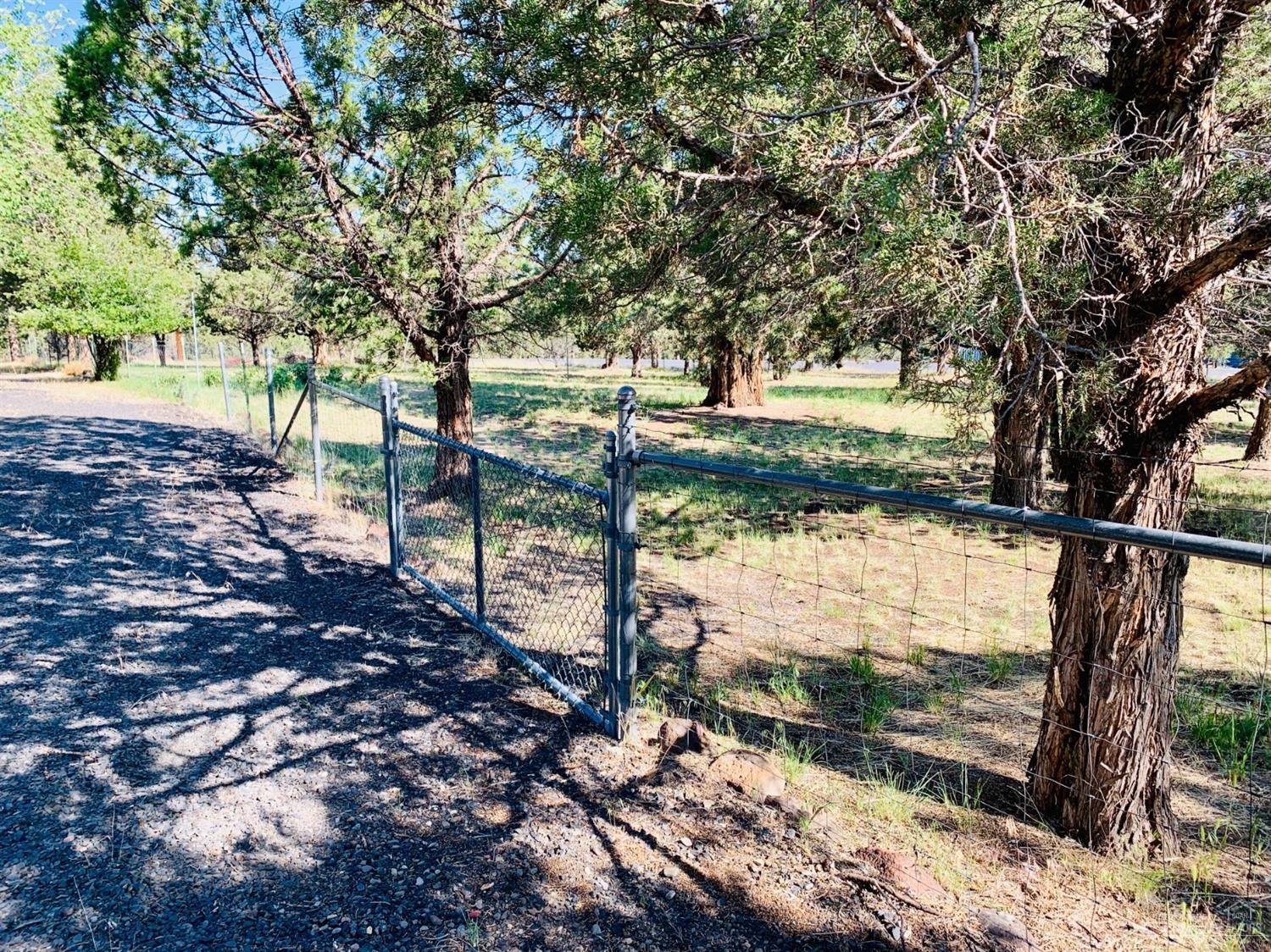 6565 Southeast Canyon Road Prineville, OR 97754 - Photo 24 of 25 Large pasture. Property boasts 2 pastur