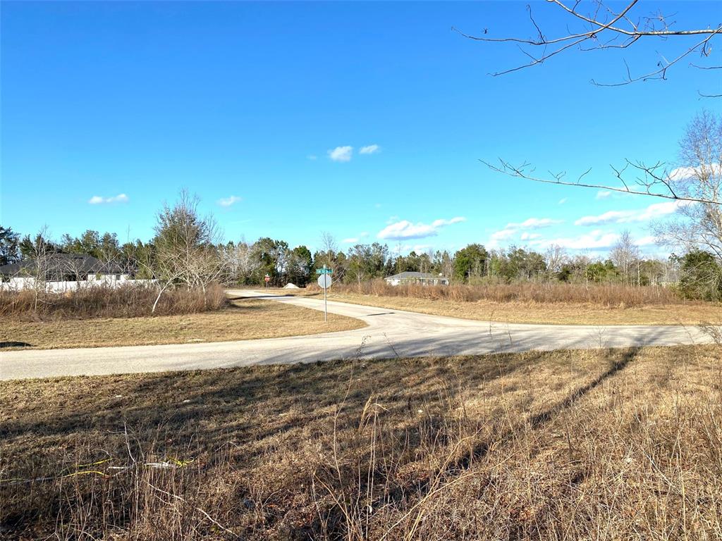 8 Southwest 151 Street Road Ocala, FL 34473 - Photo 1 of 1 Gallery Image 1