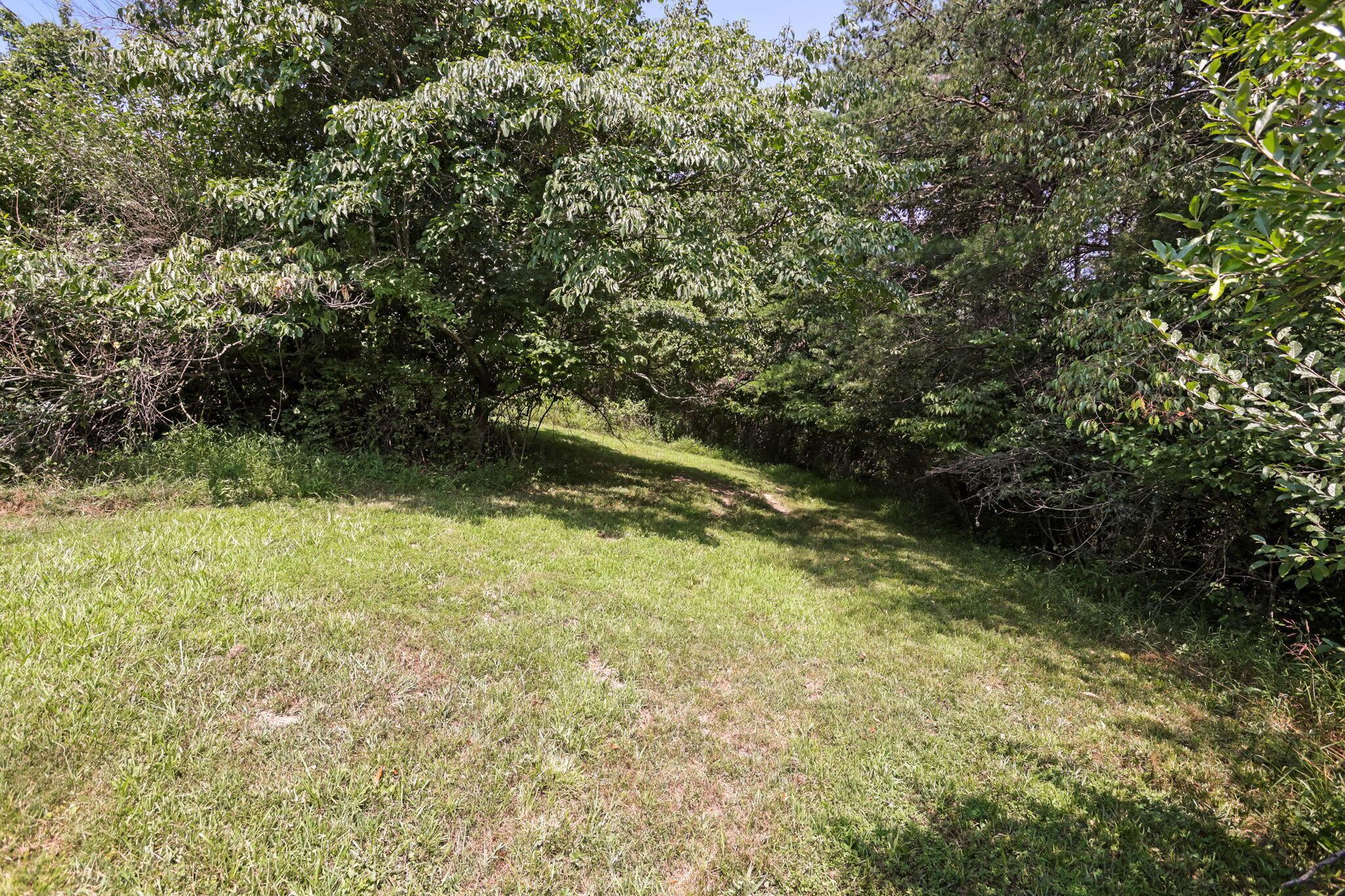 5595 Sheets Road Logan, OH 43138 - Photo 60 of 150 63-web-or-mls-LO5A0693
