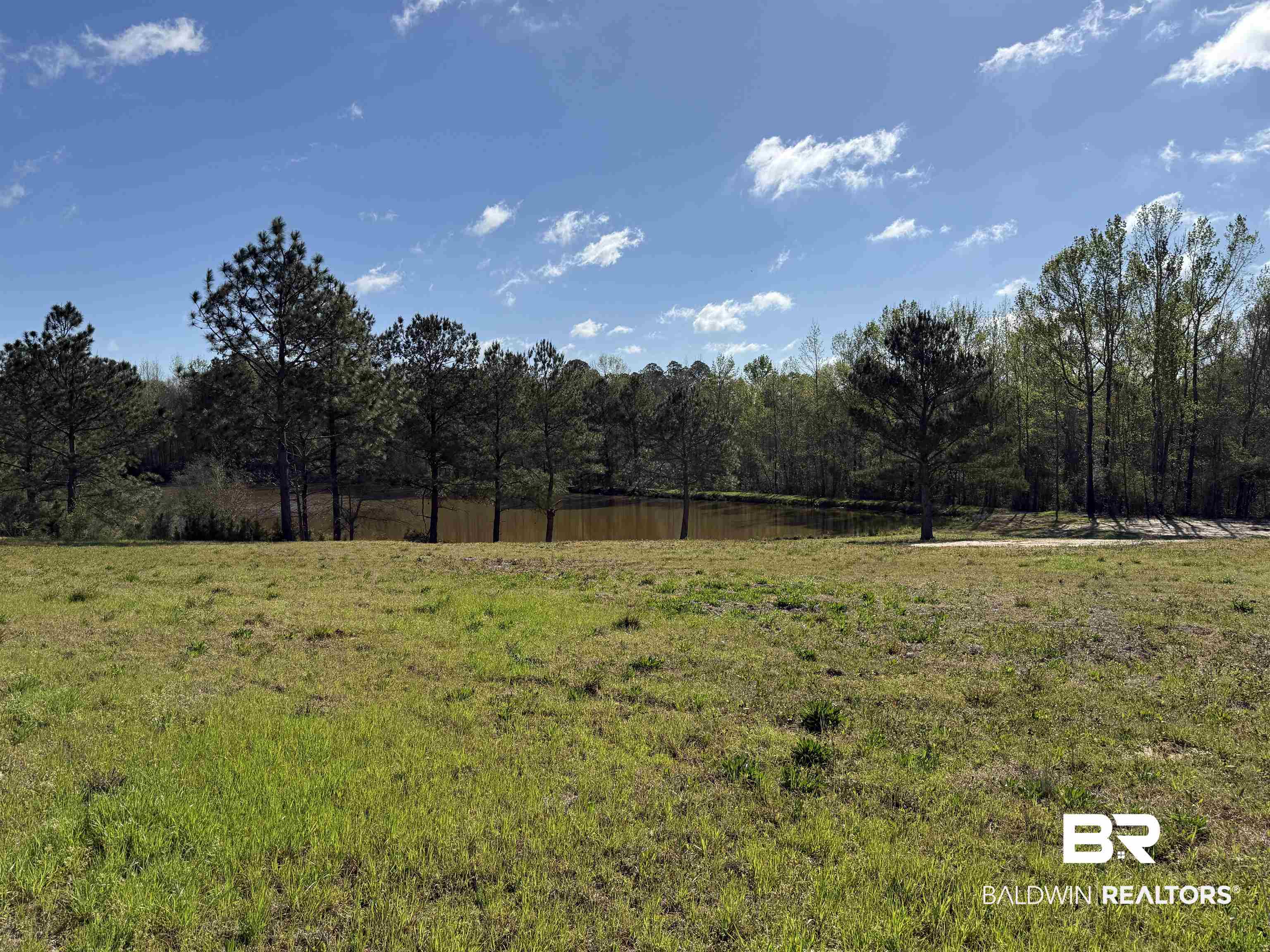 0 Gap Weekly Road Perdido, AL 36562 - Photo 10 of 20