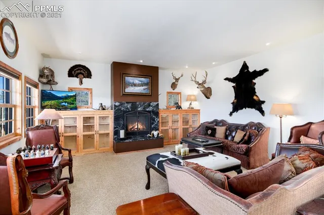 a living room with furniture and fireplace