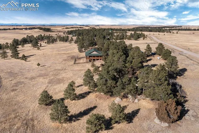 a view of a house with large trees and covered with snow in the yard