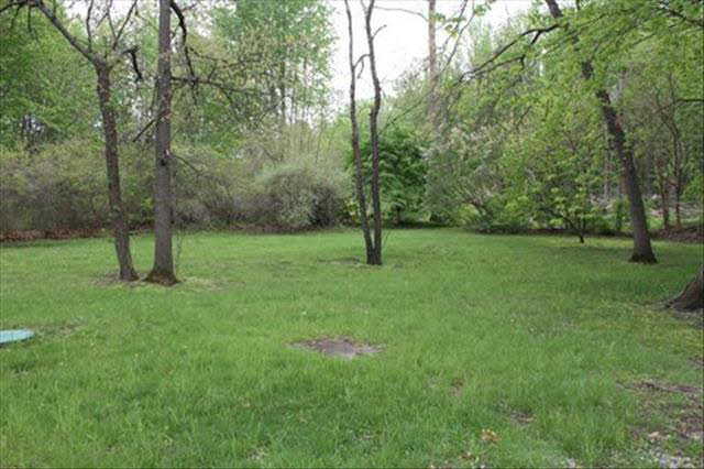 3898 Gruber Road Monroe, MI 48162 - Photo 19 of 20 20401293-18.JPG