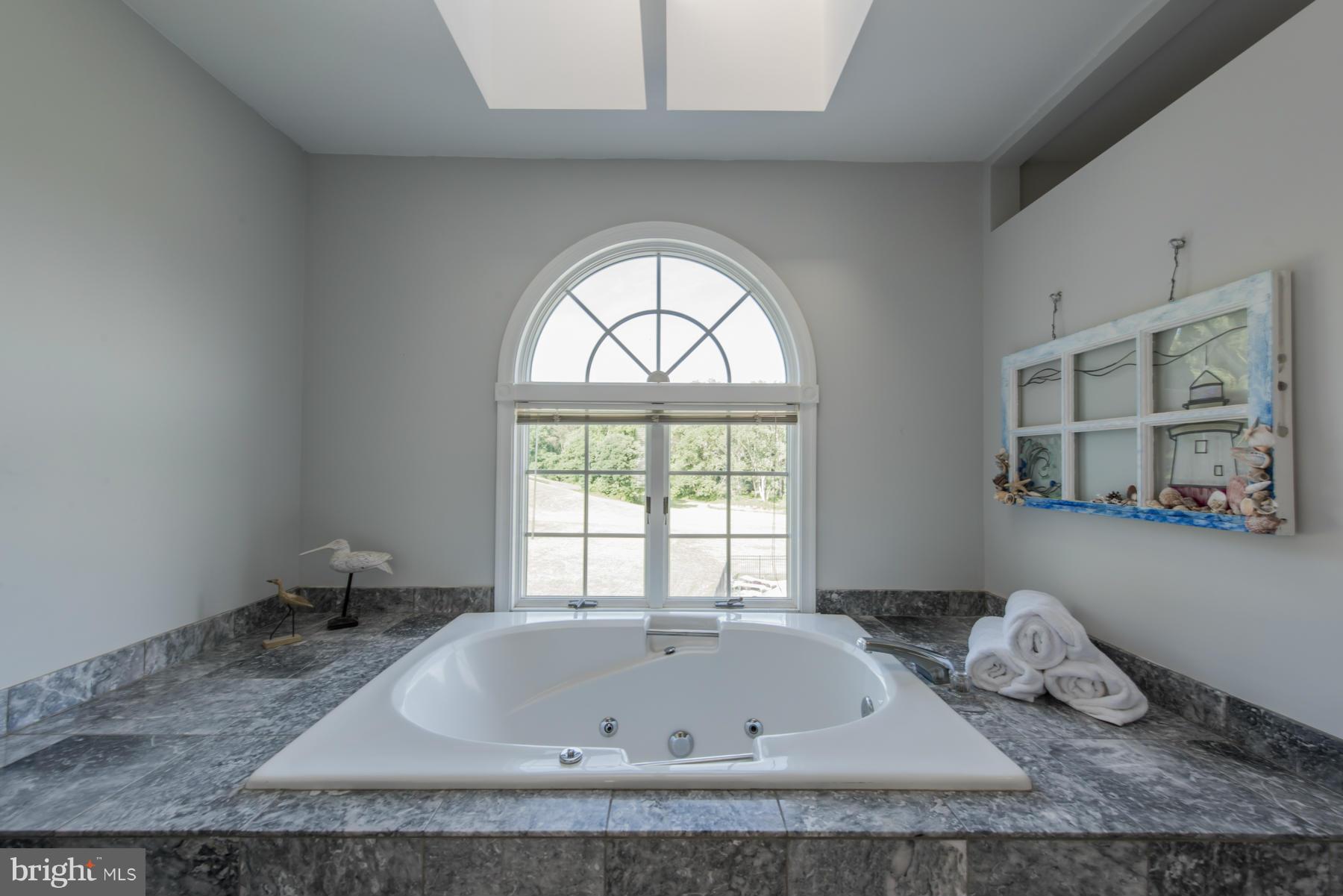 4225 Linthicum Road Dayton, MD 21036 - Photo 19 of 30 Bath (Master)