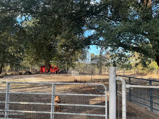 $430,000 | 2125 Fig Farm Road, Lucedale, MS 39452