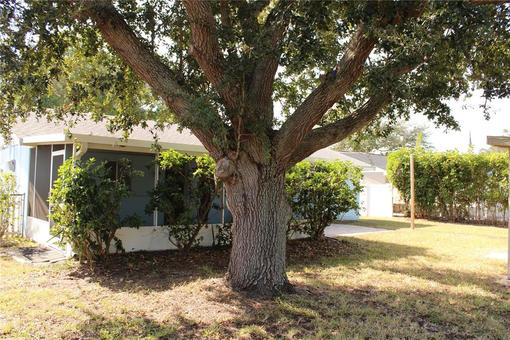 4024 13th Avenue West Bradenton, FL 34205 - Photo 31 of 32