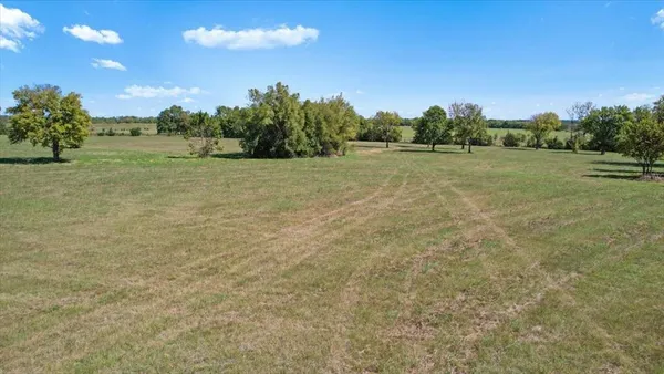 a view of a field with trees in background