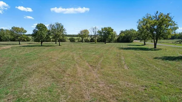 a view of a green field with trees