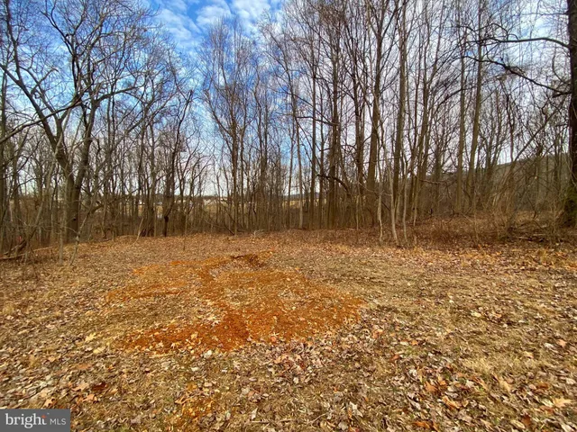 $99,900 | 2052 Hoffmaster Road, Knoxville, MD 21758