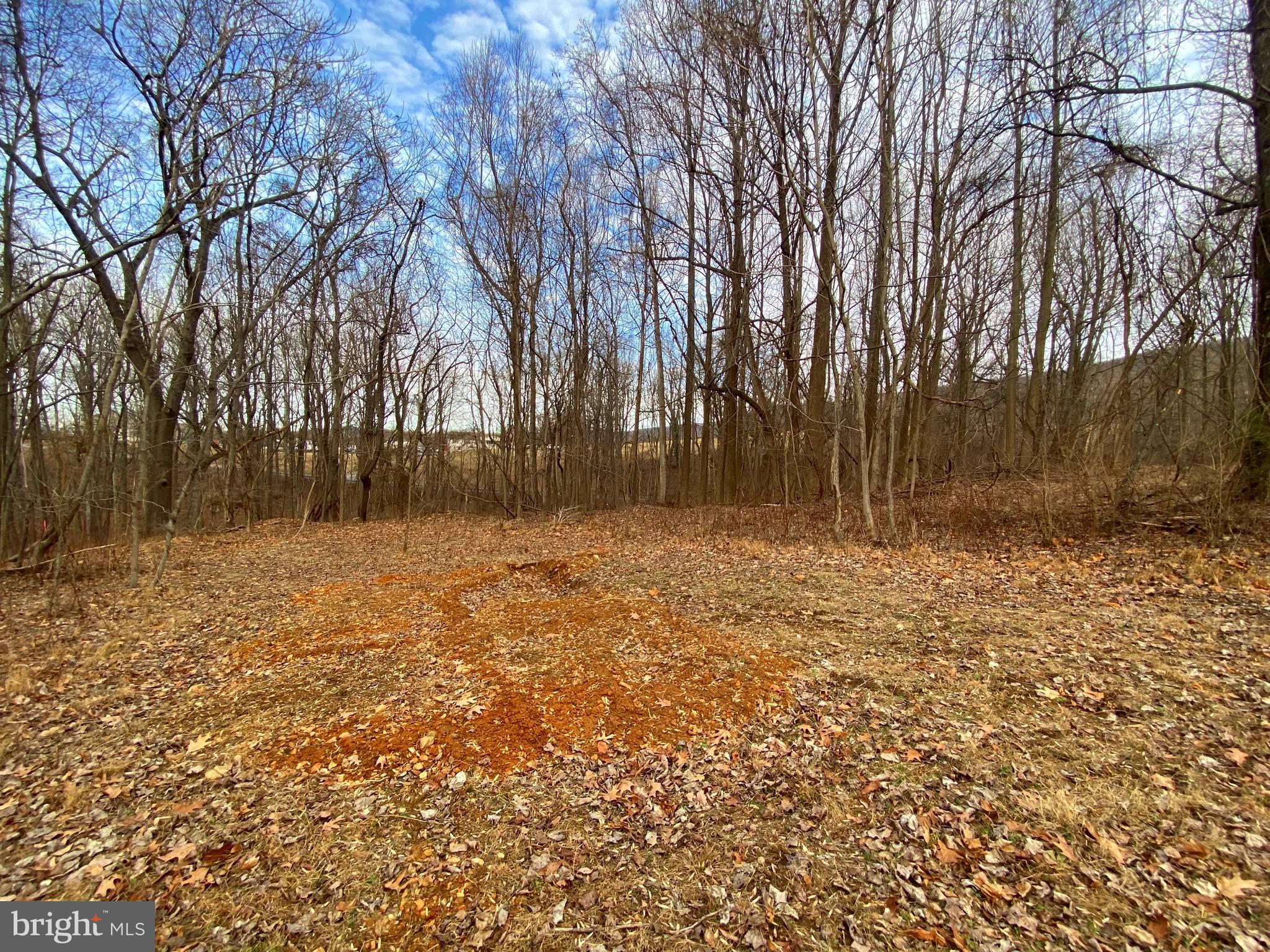 2052 Hoffmaster Road Knoxville, MD 21758 - Photo 11 of 14