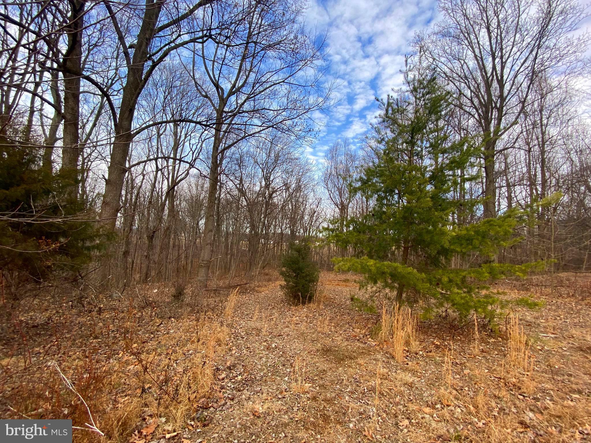 2052 Hoffmaster Road Knoxville, MD 21758 - Photo 12 of 14