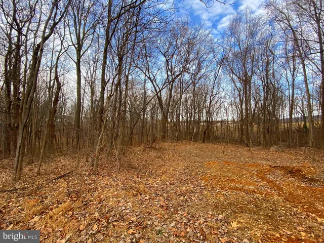 $99,900 | 2052 Hoffmaster Road, Knoxville, MD 21758