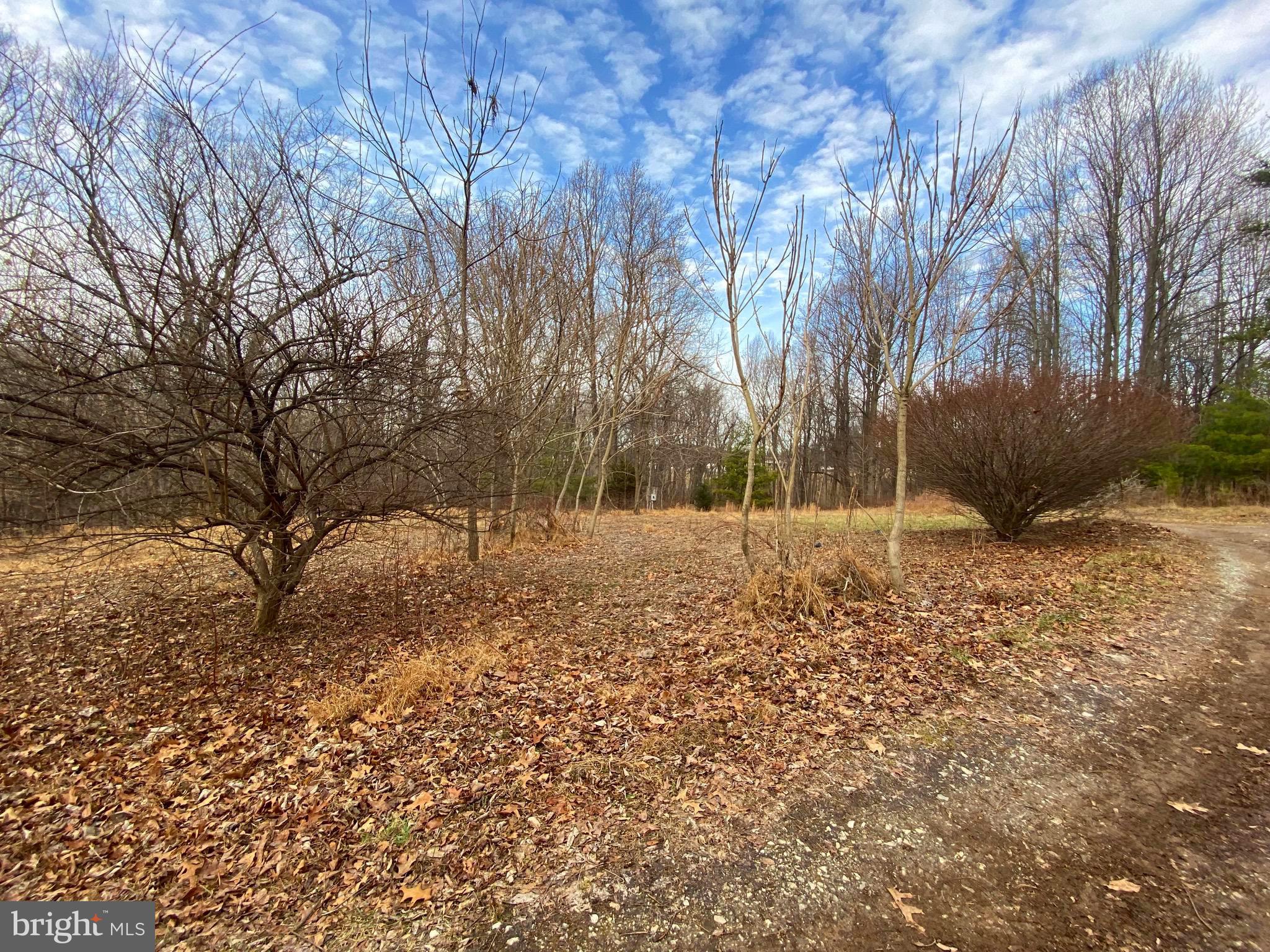 2052 Hoffmaster Road Knoxville, MD 21758 - Photo 3 of 14