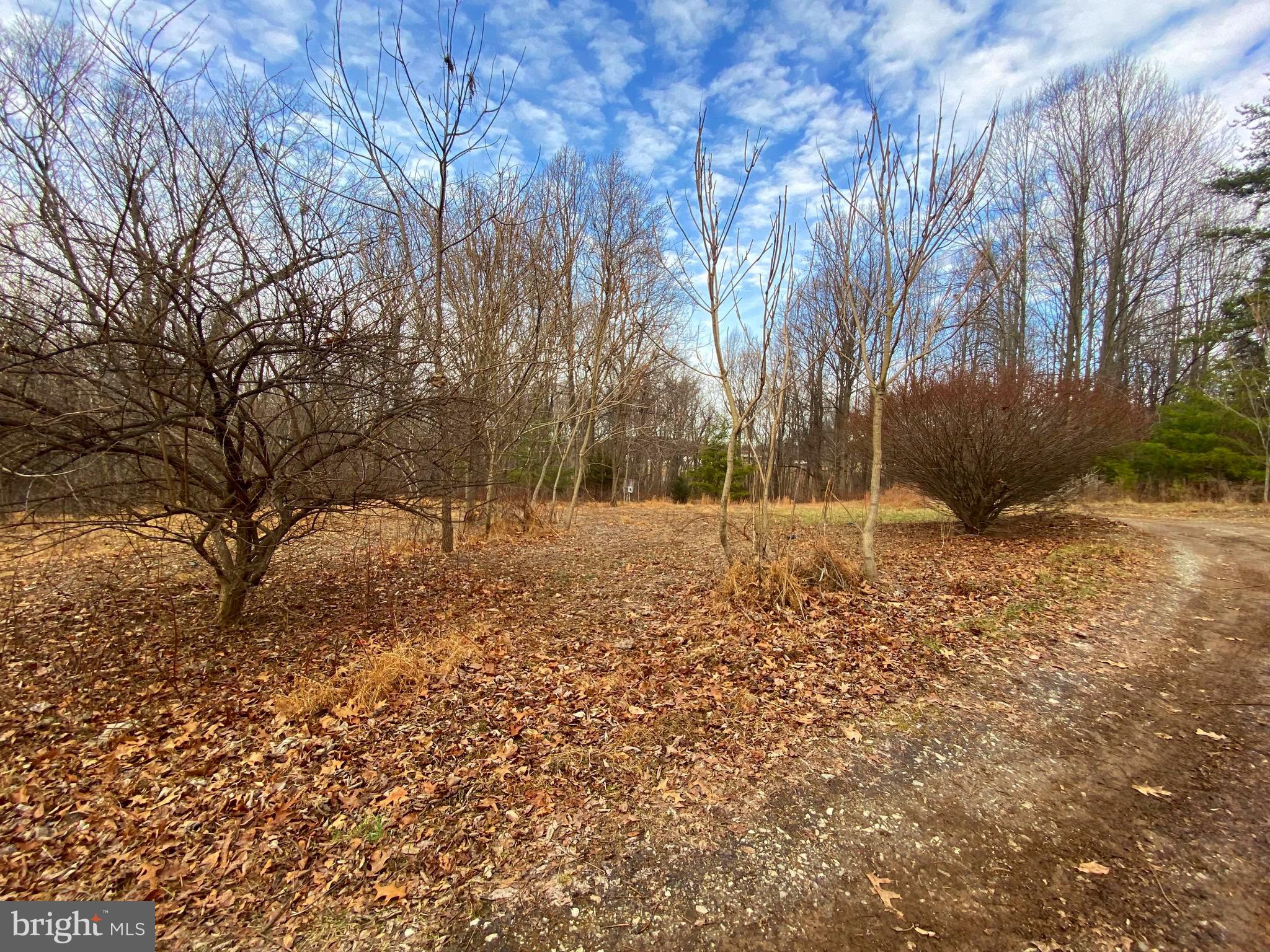 2052 Hoffmaster Road Knoxville, MD 21758 - Photo 5 of 14