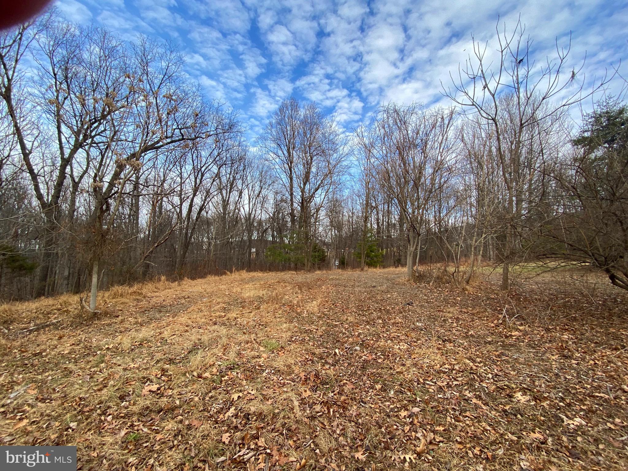 2052 Hoffmaster Road Knoxville, MD 21758 - Photo 6 of 14