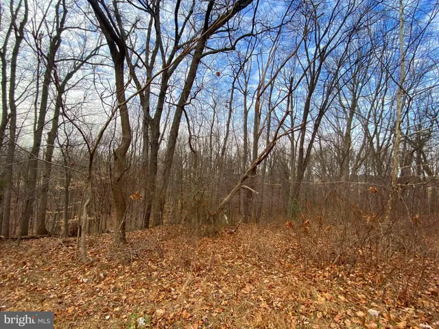 $99,900 | 2052 Hoffmaster Road, Knoxville, MD 21758