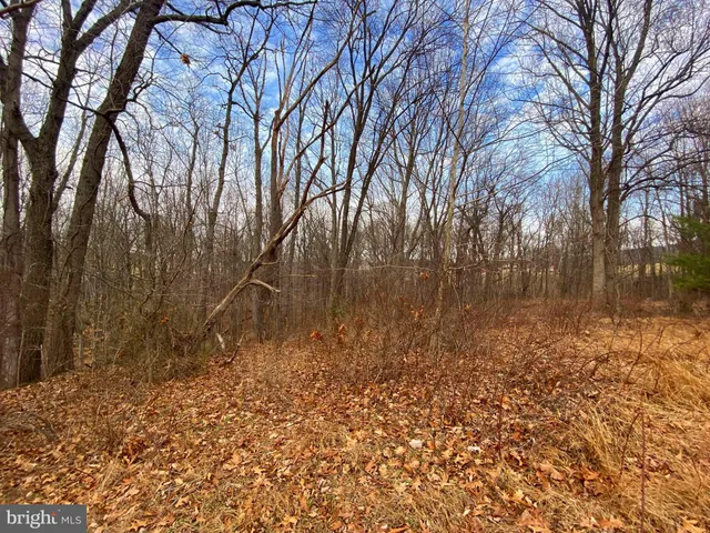 $99,900 | 2052 Hoffmaster Road, Knoxville, MD 21758