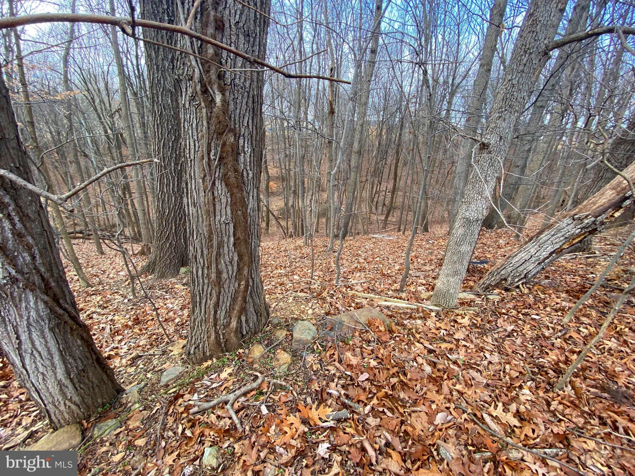 2052 Hoffmaster Road Knoxville, MD 21758 - Photo 10 of 14