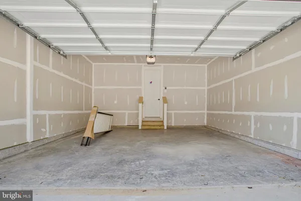 a view of a yard with plants and large trees