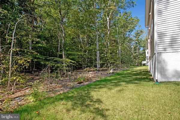 a view of backyard with a garden and plants