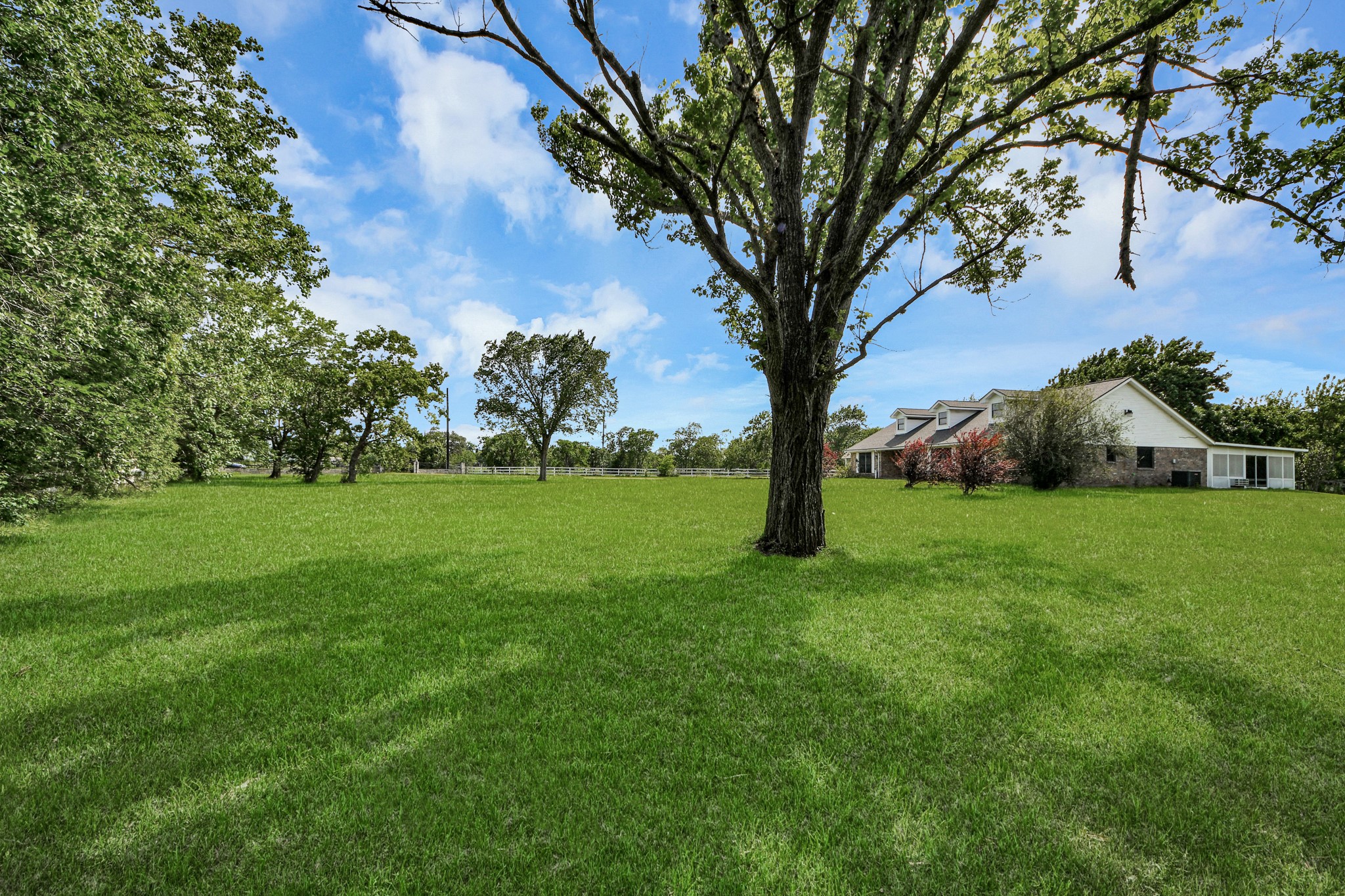 12746 Roy Road Pearland, TX 77581 - Photo 38 of 47 Expansive green lawn with mature trees, offering a serene view of a spacious home in the background, perfect for privacy and outdoor enjoyment.