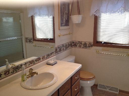 26157 West Rollins Road Ingleside, IL 60041 - Photo 8 of 10 a bathroom with a sink a toilet and a mirror