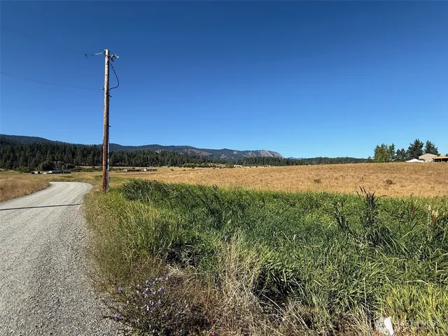 a view of a lake with a mountain in the background