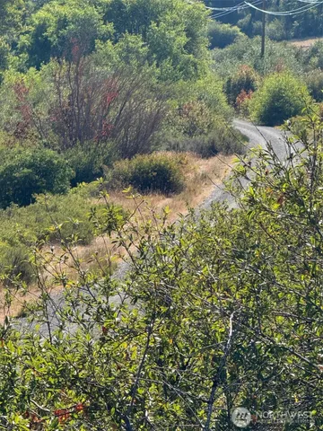 a view of an outdoor space and a yard