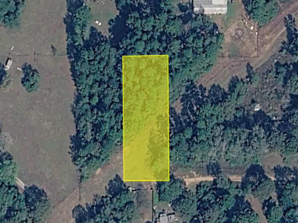 0 Vallejo Road Goodrich, TX 77335 - Photo 1 of 5