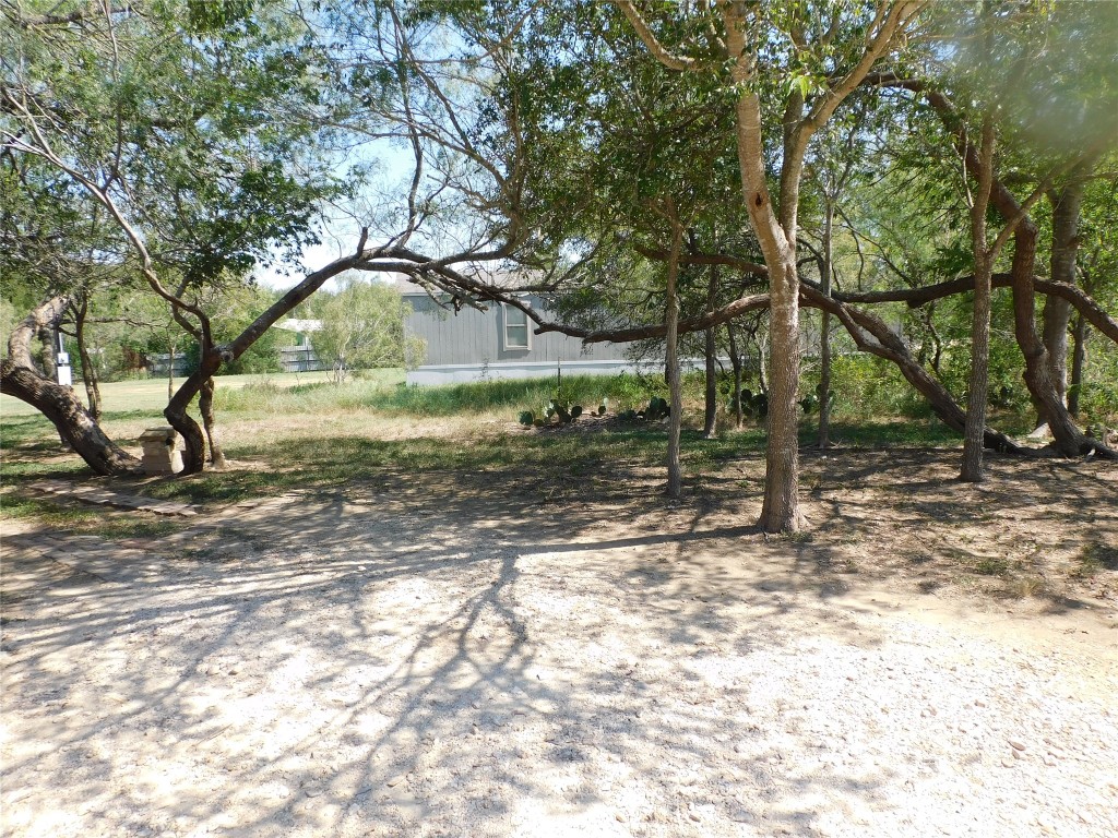 136 Bullfrog Holler Road Dale, TX 78616 - Photo 5 of 8 a view of a yard with a tree