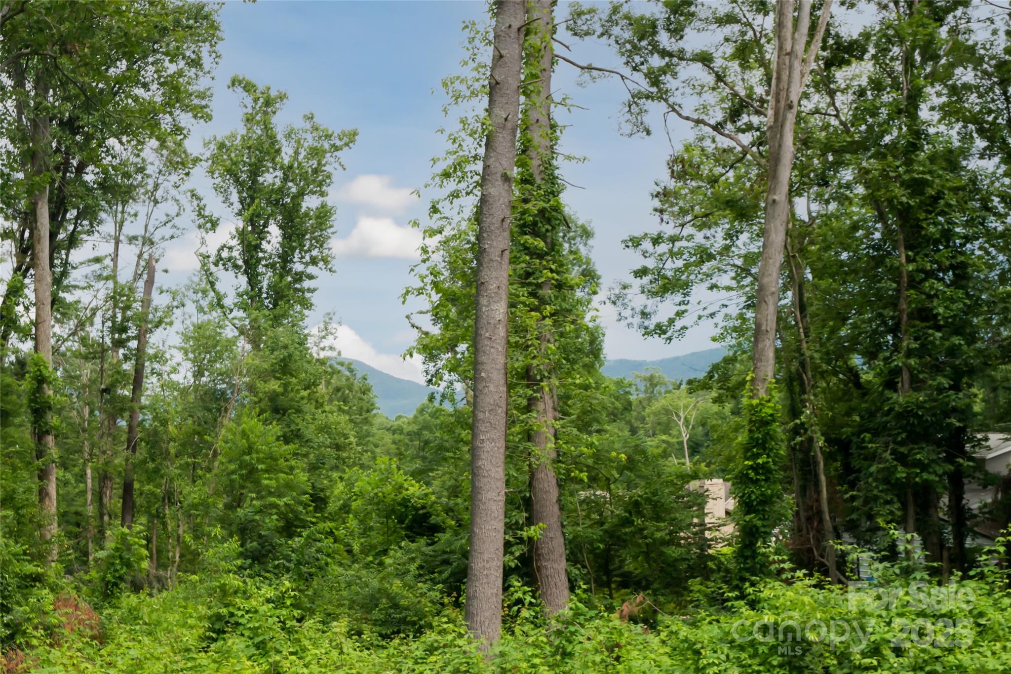 17 Fair Oaks Road Arden, NC 28704 - Photo 35 of 35 Gallery Image 35