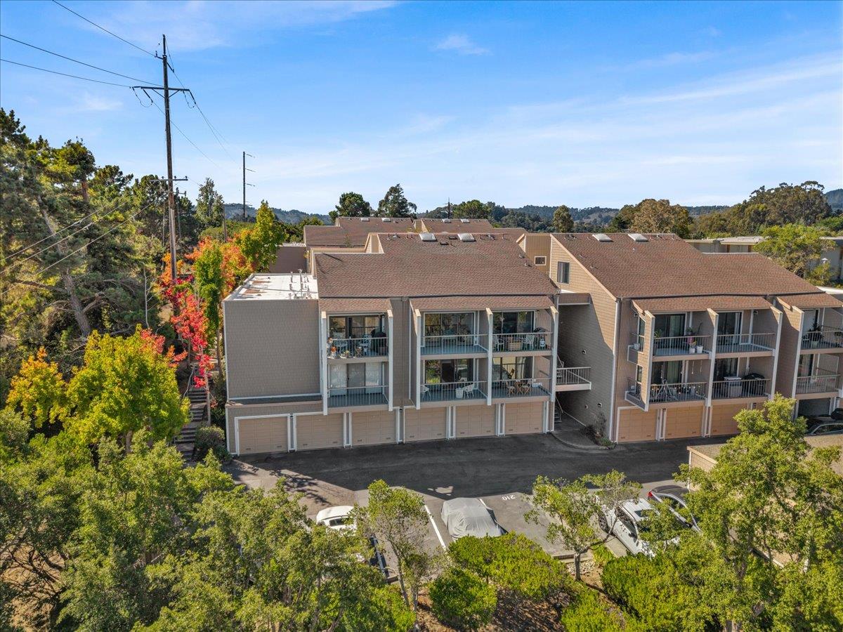 1685 Bayridge Way, Unit 204 San Mateo, CA 94402 - Photo 2 of 28 a view of a house with a big yard and potted plants