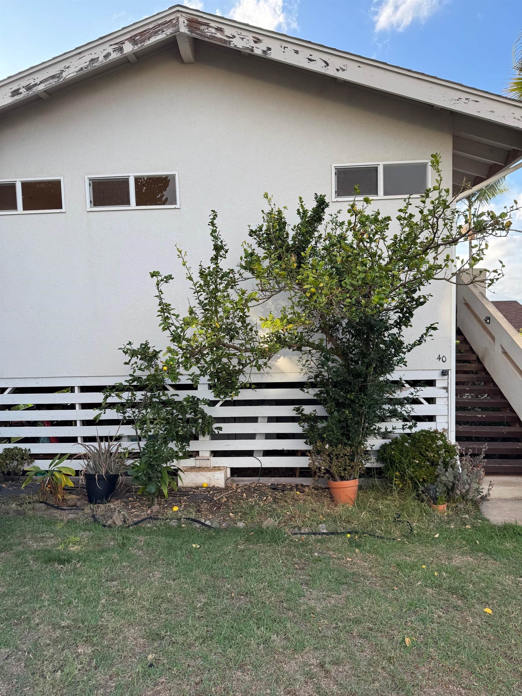 40 Kalihi Place Kula, HI 96790 - Photo 10 of 15 a front view of a house with a garden