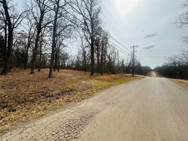 a view of empty space with trees