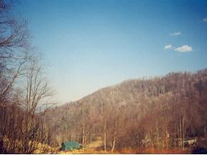 1449-2 Rice Creek Road Flag Pond, TN 37657 - Photo 1 of 3 Photo 1